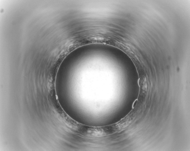 X0000088910559200706221932