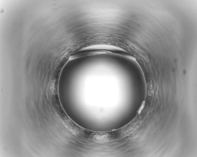 X0000088910560200706221932