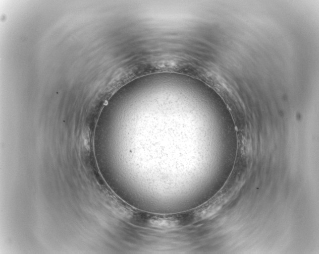 X0000088910561200706221932