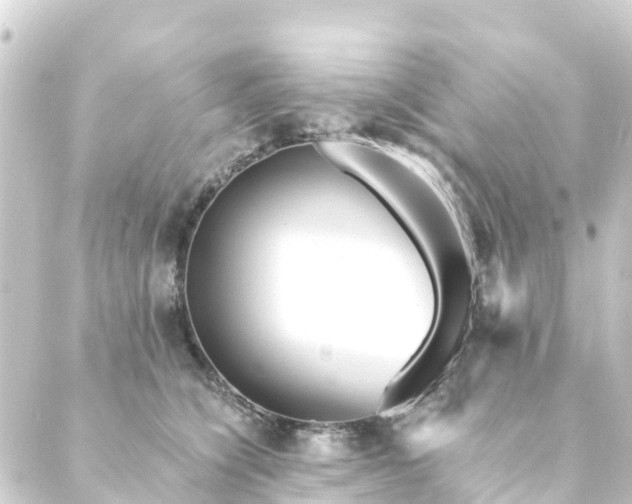 X0000088910564200706221932