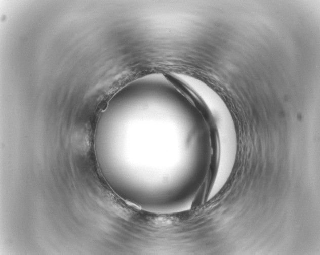 X0000088910566200706221932