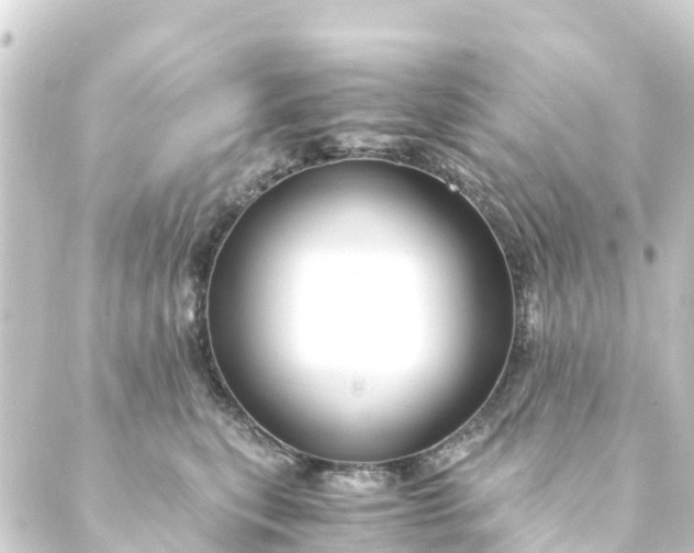 X0000088910567200706221932