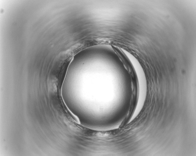 X0000088910570200706221932