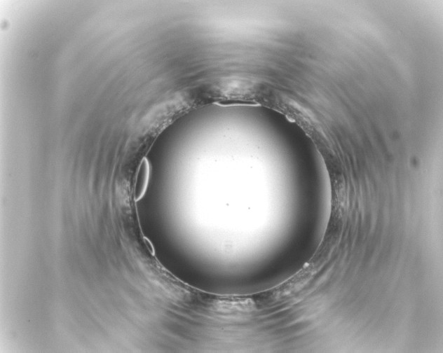 X0000088910571200706221932