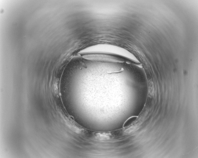 X0000088910573200706221932