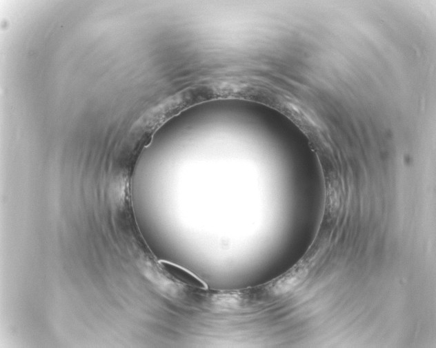 X0000088910574200706221932