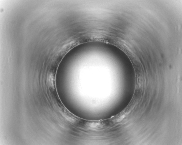 X0000088910575200706221932