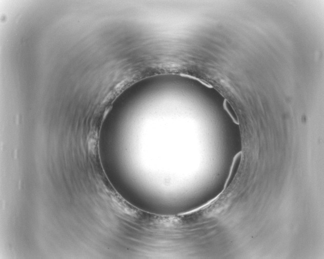 X0000088910576200706221932