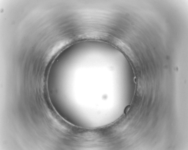 X0000088910578200706221932