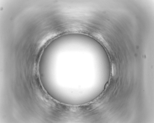 X0000088910579200706221932