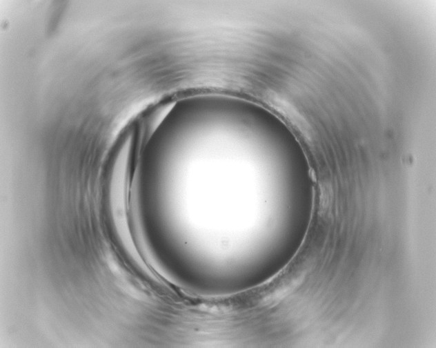 X0000088910580200706221932