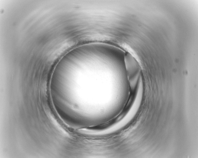 X0000088910581200706221932