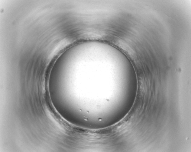 X0000088910582200706221932