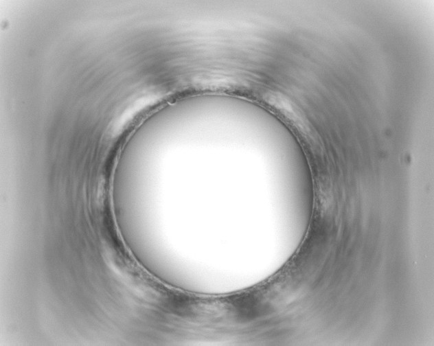 X0000088910583200706221932