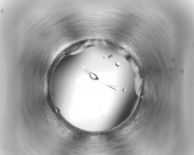 X0000088910584200706221931