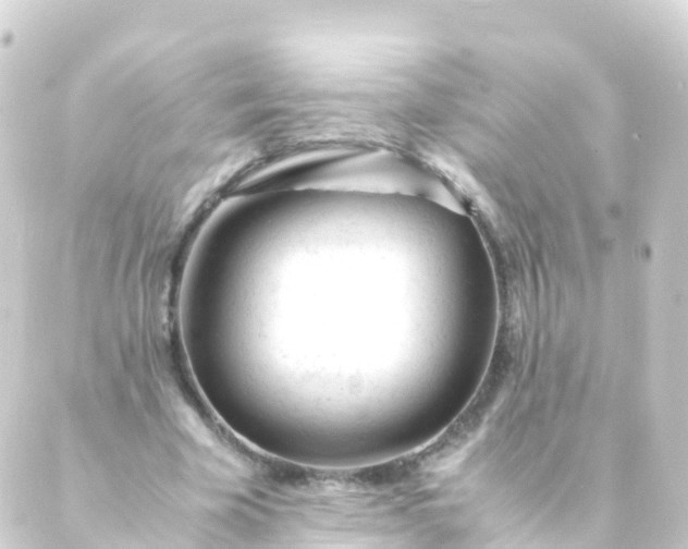 X0000088910585200706221931