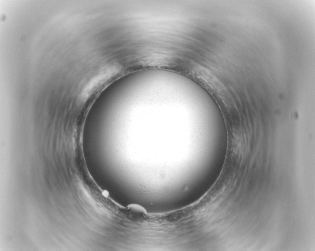 X0000088910586200706221931