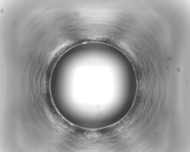 X0000088910587200706221931