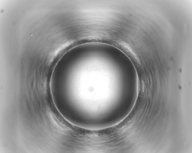 X0000088910588200706221931