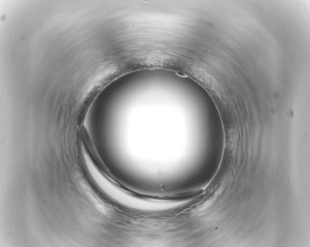 X0000088910589200706221931