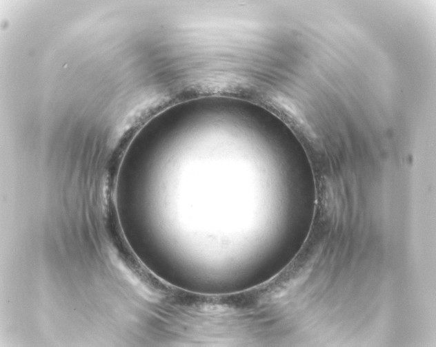 X0000088910590200706221931