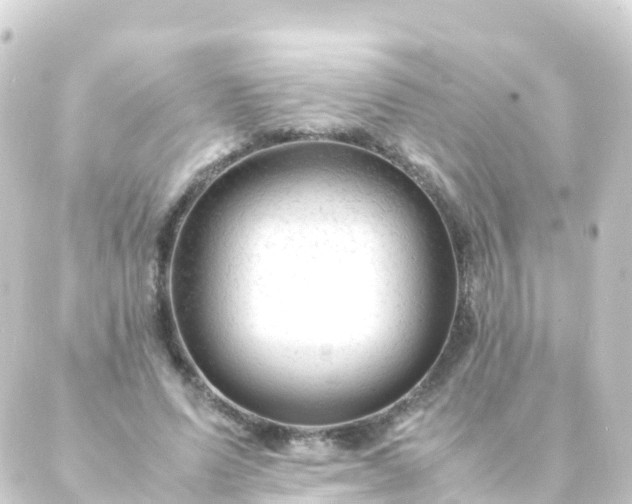 X0000088910591200706221931