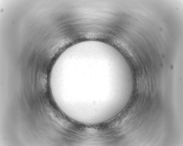 X0000088910592200706221931