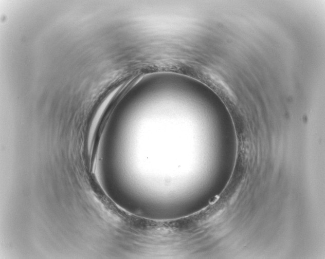 X0000088910593200706221931