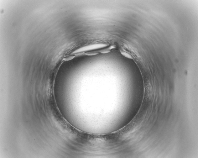 X0000088910594200706221931