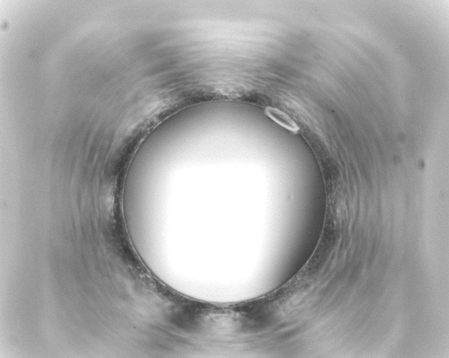 X0000088910595200706221931