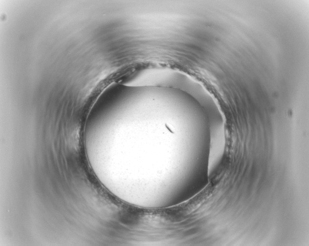 X0000088910596200706221931