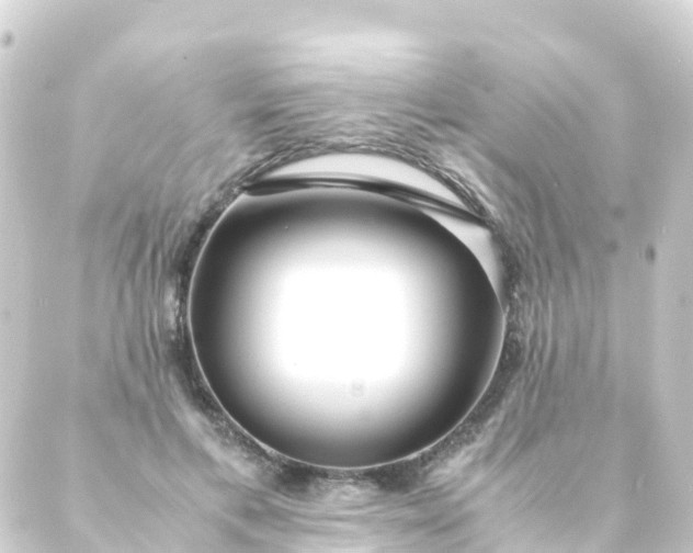 X0000088910597200706221931