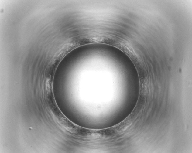 X0000088910598200706221931