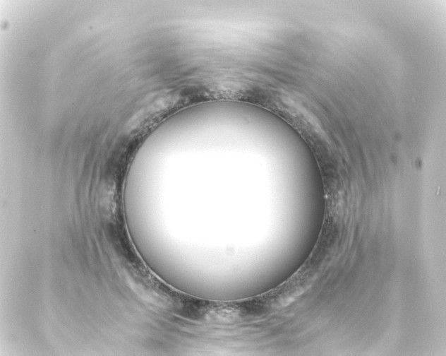 X0000088910599200706221931