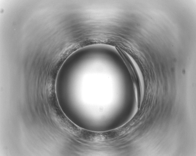 X0000088910600200706221931