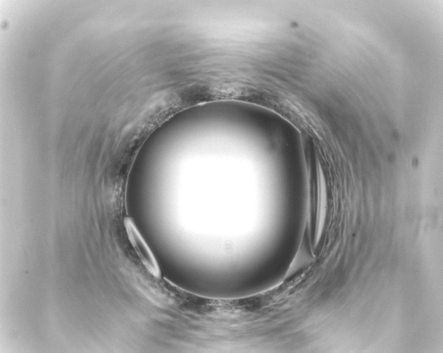 X0000088910601200706221931