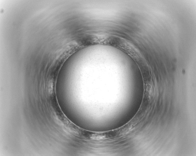 X0000088910602200706221931