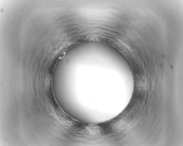 X0000088910603200706221931