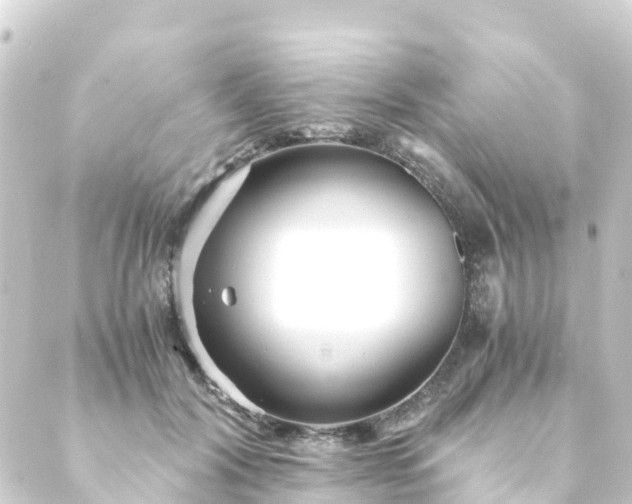 X0000088910604200706221931