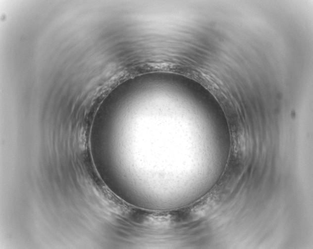 X0000088910606200706221931