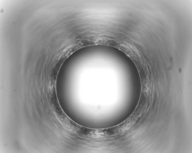 X0000088910607200706221931