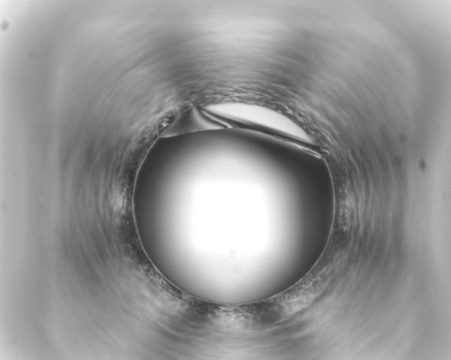 X0000088910608200706221931