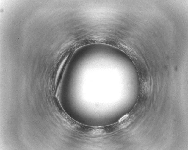 X0000088910609200706221931