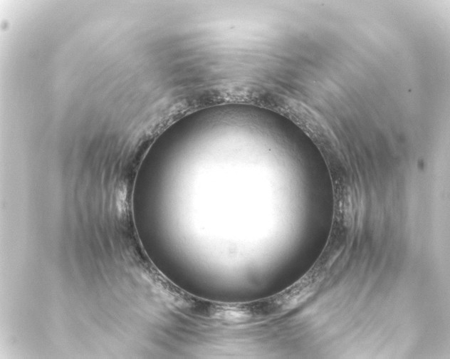 X0000088910610200706221931