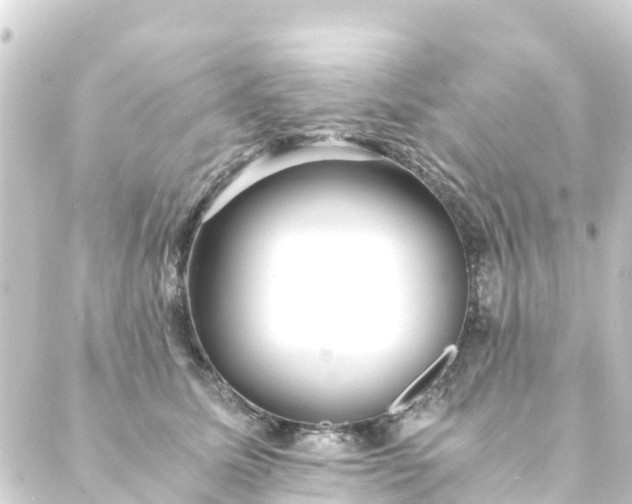 X0000088910611200706221931