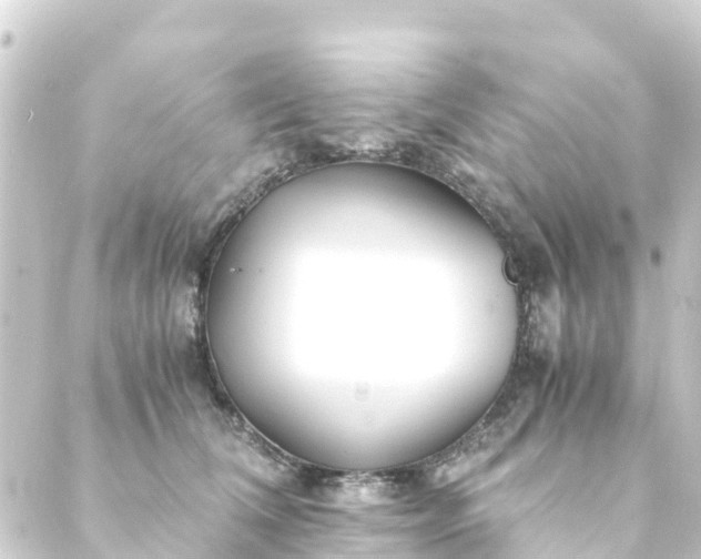 X0000088910612200706221931