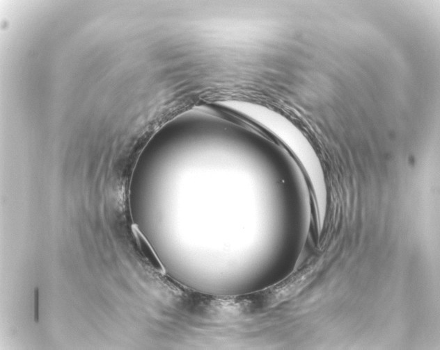 X0000088910613200706221931