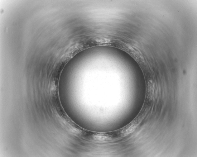 X0000088910614200706221931