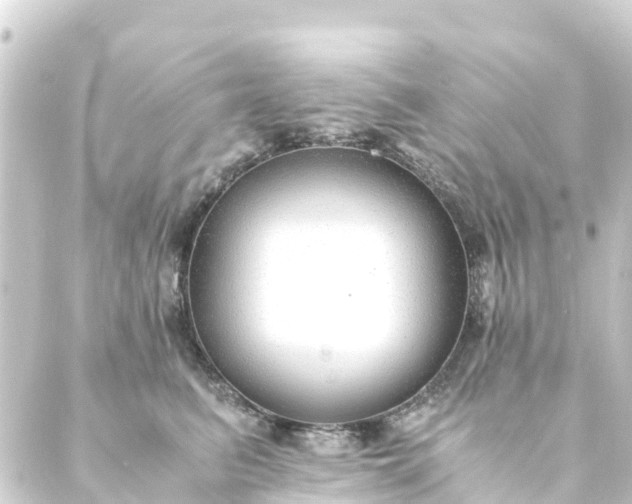 X0000088910615200706221931