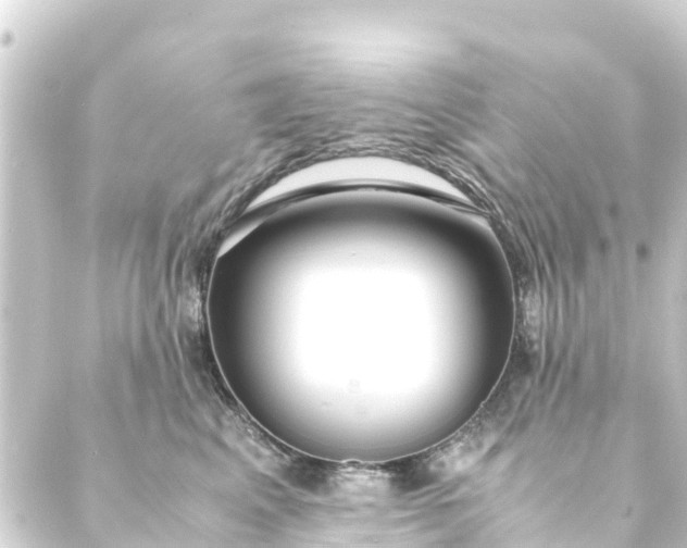 X0000088910617200706221931